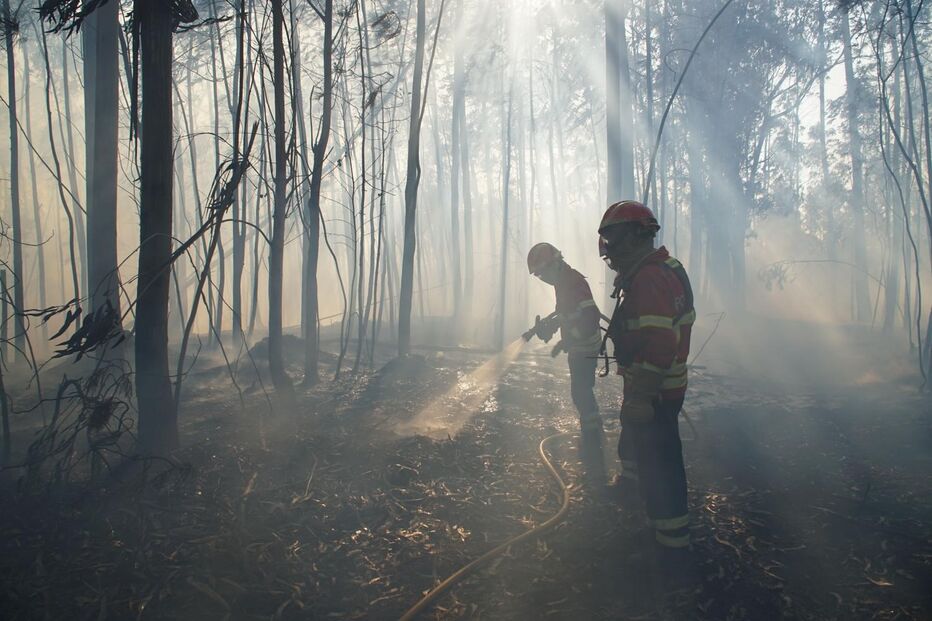 Fogos em Leiria