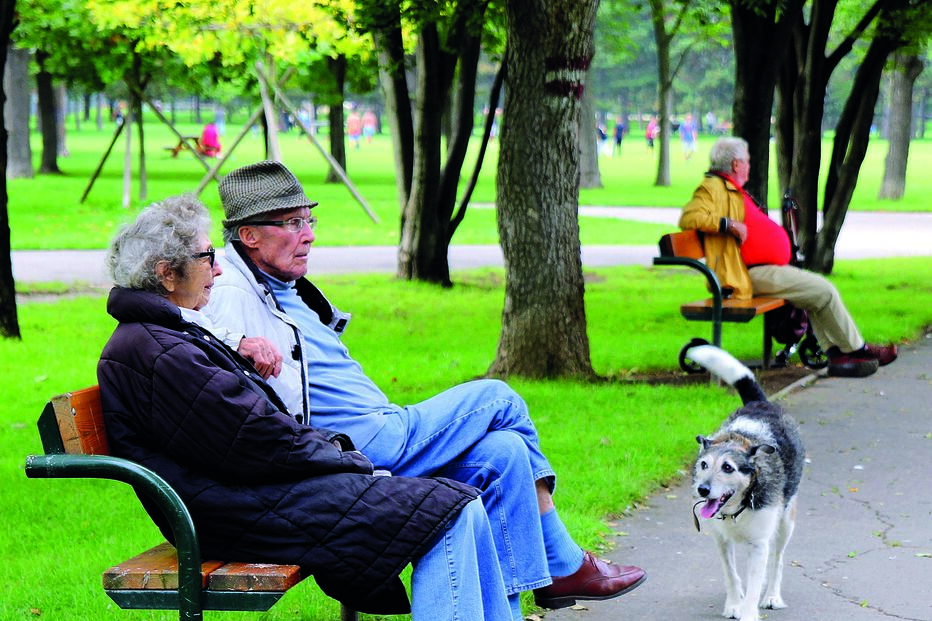 FEFSS, pensões, PIB