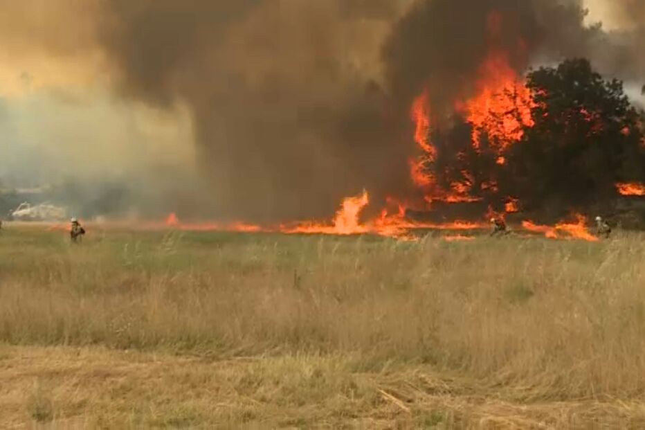 Agricultor ciumento ateia fogo por vingança em São Pedro do Sul