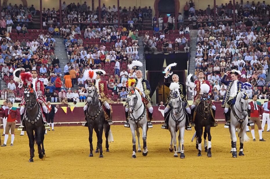 Corrida, touros, toureiros 