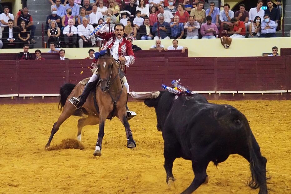 Corrida, touros, toureiros 