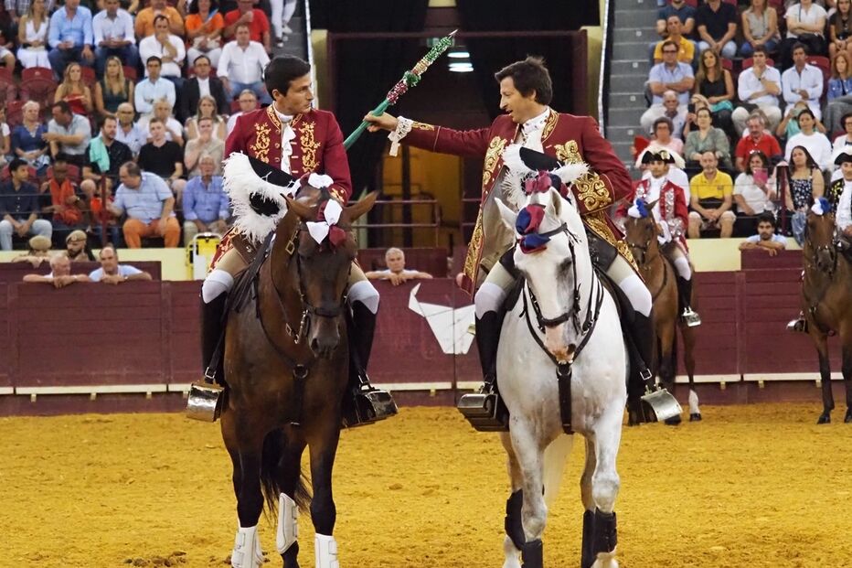 Corrida, touros, toureiros 