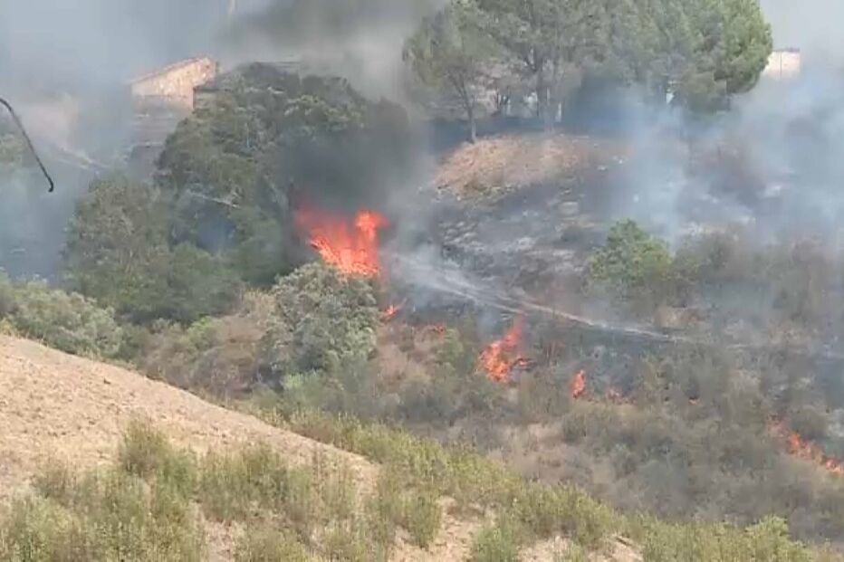 2022-07-25_19_34_03 silves.jpg