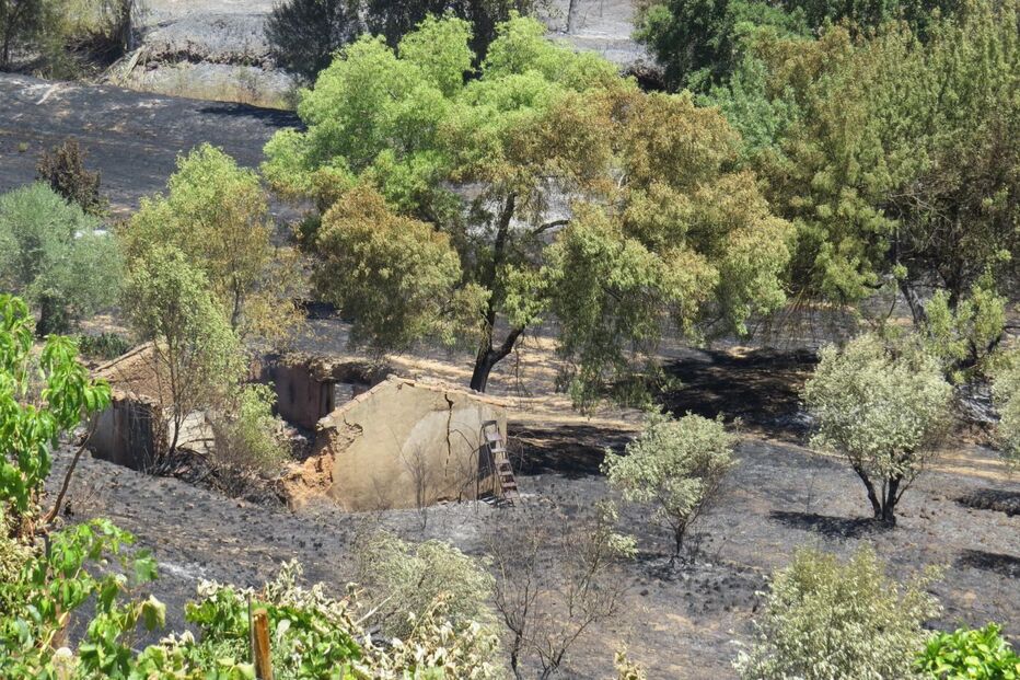 Silves, incêndio, fogo