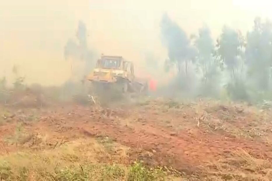 Incendiário libertado ateia mais seis fogos