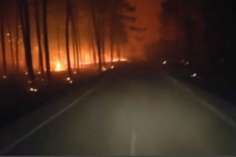 Incêndio de 2017 no Pinhal de Leiria
