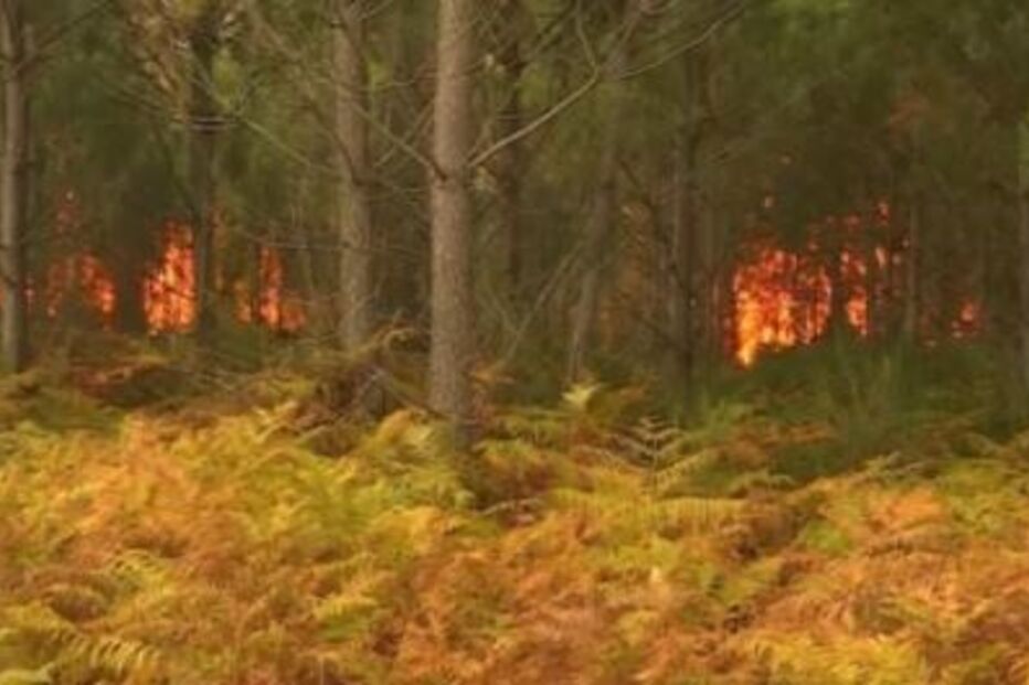 Incêndio de 2017 no Pinhal de Leiria