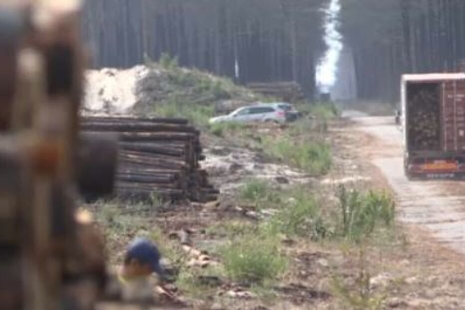 Incêndio de 2017 no Pinhal de Leiria