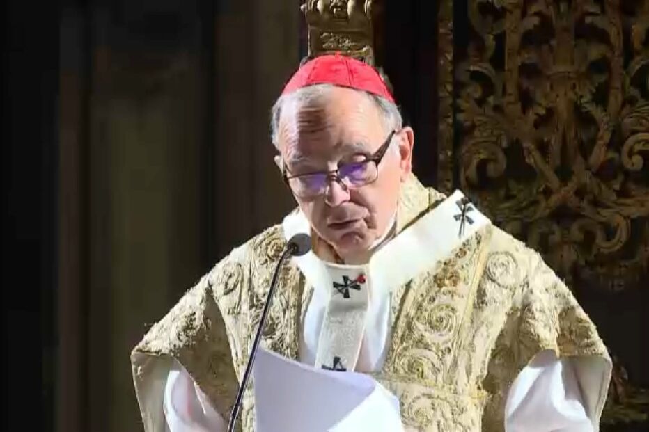 Cardeal admite ter errado ao não denunciar abusos sexuais. CM revela depoimentos das vítimas