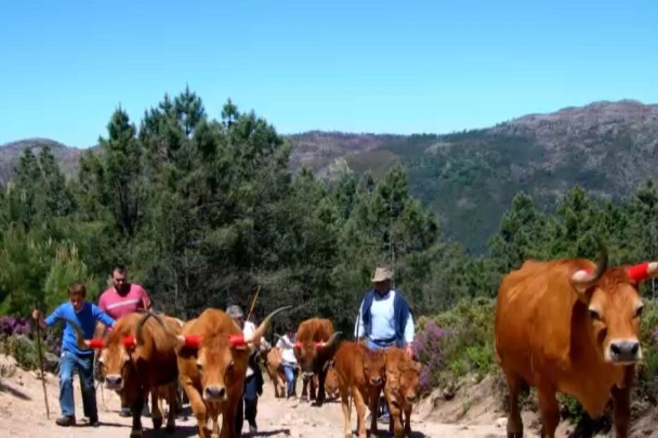 Homem de 48 anos morre junto a amigos a subir a serra do Gerês