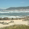 <![CDATA[ Pescadores de Vila Praia de Âncora com projeto de 80 mil euros para edifício Onda ]]>