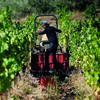 <![CDATA[ Mais de 78 milhões de euros para queimar vinho ]]>