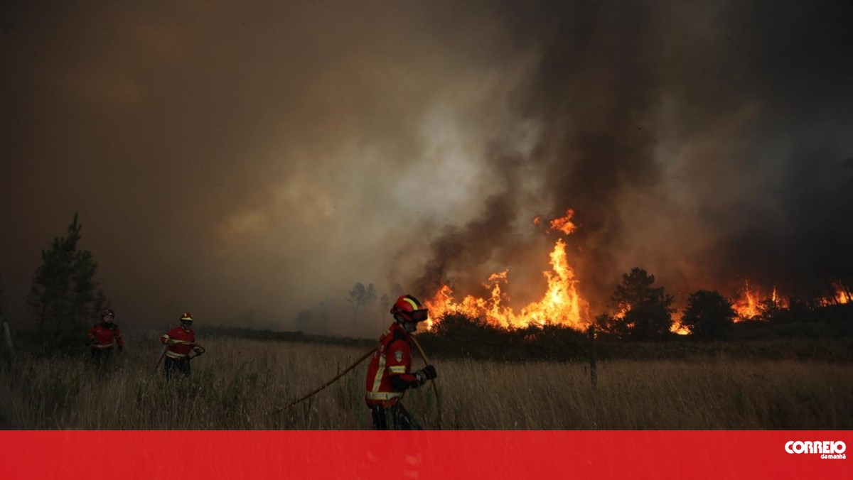 Detido homem suspeito de atear fogo em Sátão