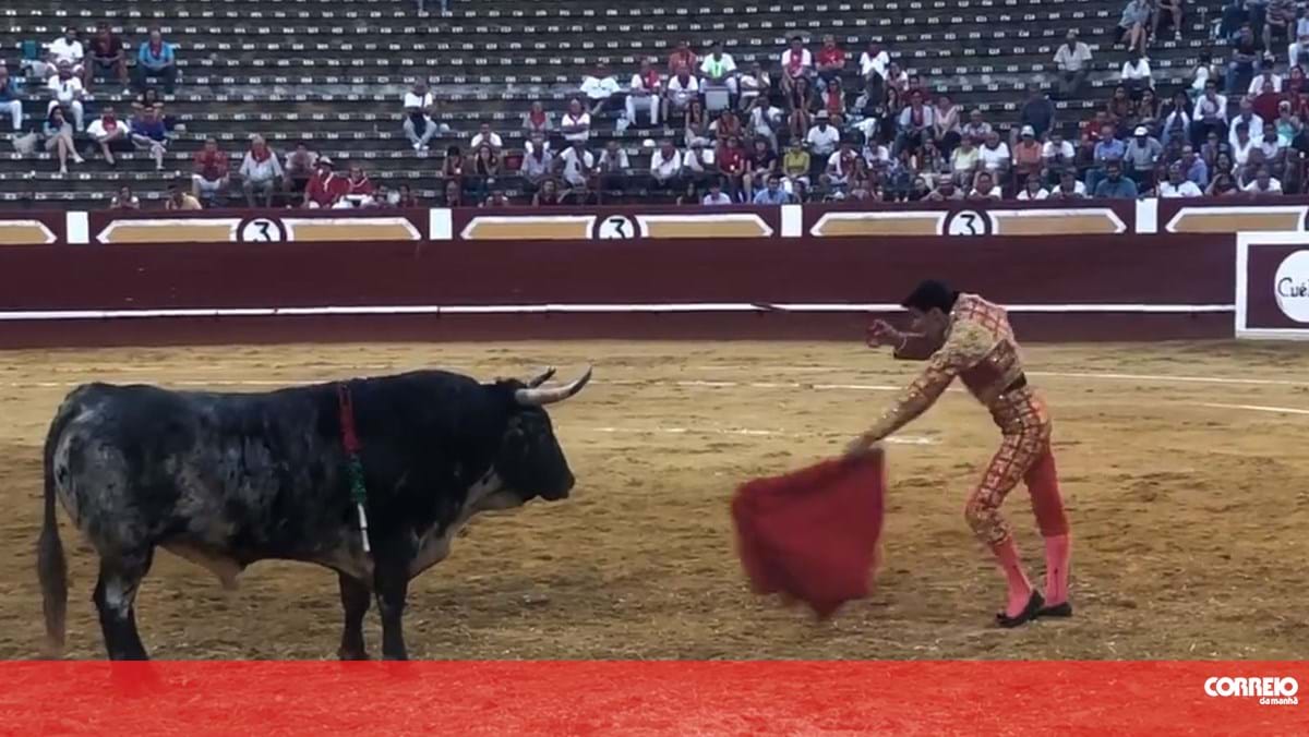 Bullfighter undergoes six-hour surgery after being picked up by bull