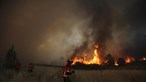 Fogo na serra do Marão com nova reativação após ter sido dado como extinto no domingo