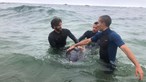 Cachalote-pigmeu resgatado do mar na praia do Aterro morreu a caminho do Centro de Recuperação animal