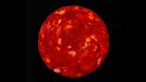 Cientista obrigado a pedir desculpa por partilhar foto de estrela que afinal era uma rodela de chouriço