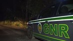Suspeitos de tráfico de droga despistam-se após perseguição da GNR em Beja. Há dois detidos e dois em fuga
