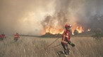 Autarca da Covilhã diz que já arderam cerca de três mil hectares no concelho