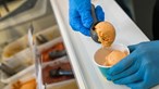 Alerta europeu leva a retirar gelados do mercado