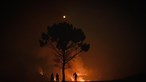 Fogo na serra da Estrela está 'estabilizado', diz Proteção Civil