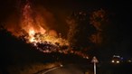 Proteção civil prevê extinção do fogo na Serra da Estrela em dois dias