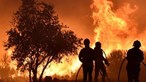 Sete em cada 10 portugueses criticam Governo pelos incêndios, revela sondagem