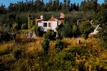 Incêndios, Investigação Sábado, Pedrógão Grande 