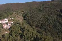 Incêndios, Investigação Sábado, Pedrógão Grande 