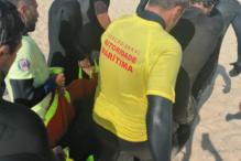 cachalote-pigmeu, praia do Aterro, Matosinhos