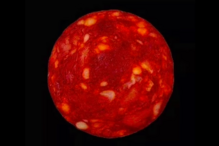 Imagem de uma rodela de chouriço partilhada pelo cientista