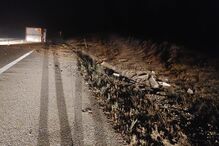 Homem em estado grave após despiste na A1 em Albergaria-a-Velha