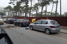 queda de árvore em Ofir