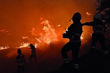 Mais de mil bombeiros continuavam esta quarta-feira no terreno a combater as chamas que lavram, desde dia 6, no Parque Natural da Serra da Estrela 