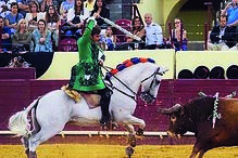 Francisco Palha brilhou na lide a cavalo 