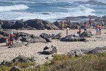 Mulher morre afogada em Vila Praia de Ancora 