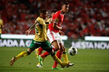 Benfica - Paços Ferreira