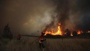 50 concelhos do interior Norte e Centro, Alto Alentejo e Algarve em risco máximo de incêndio