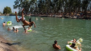 Música, mergulhos e festa no campismo: o regresso do Sudoeste à Zambujeira do Mar