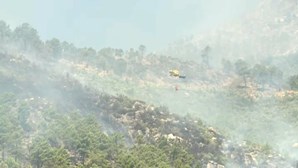 Mais de 100 operacionais e oito meios aéreos combatem incêndio na Covilhã