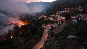 Parque Natural da Serra da Estrela vai levar décadas a recuperar