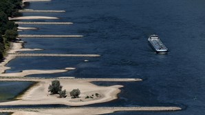 Navios ancorados em terra e leitos secos: As imagens impressionantes do baixo nível das águas no rio Reno