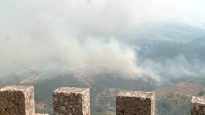 Cerca de 10 mil hectares já arderam na Serra da Estrela