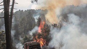 Comissão Europeia monitoriza fogo na Serra da Estrela com mapas de satélite
