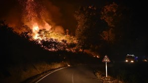 Proteção civil prevê extinção do fogo na Serra da Estrela em dois dias