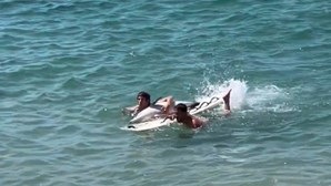Golfinho sem barbatana resgatado da água na praia de Azenhas do Mar 