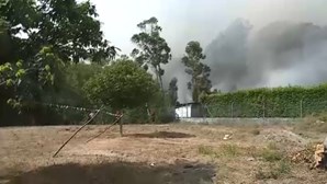 "Bombeiros, coitados, estão cansados": Incêndio ameaça habitações em Mancelos, Amarante
