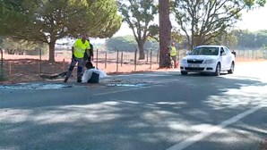 Três mortos em colisão entre carros na EN4 no Montijo