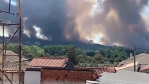 Mais de 180 bombeiros combatem incêndio em Ourém