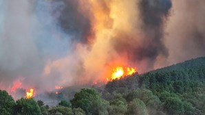 Sete bombeiros desaparecidos no incêndio de Valhelhas, na Guarda